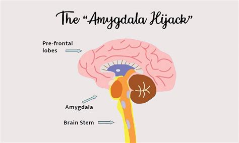 Taming An Amygdala Hijack Using Optimal Mindfulness