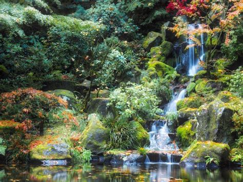 Stunning Japanese Garden Ideas Plants You Will Love 03 Dream Backyard