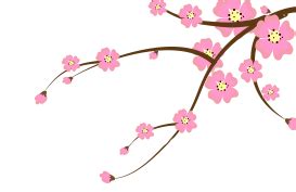 Check spelling or type a new query. Bunga Sakura Kartun Png / Watercolor Flower Background ...