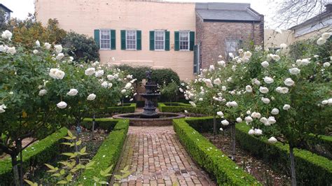 There are 1 olive garden mall stores in louisiana, with 1 locations in or near new orleans (within 100 miles). A courtyard garden in New Orleans : pics