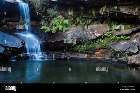 Natural Waterfall With Green Foliage In Australian Bushland Stock Photo