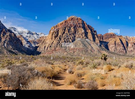 Winter Snowy Landscape Of The Famous Red Rock Canyon National