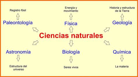 Ciencias Naturales Clasificación Y Características