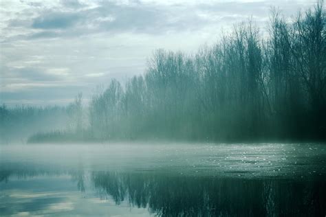 Misty Lake With Trees 1307482 Stock Photo At Vecteezy