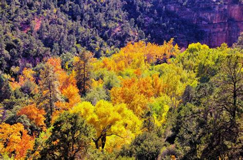 Oak Creek Canyon Color