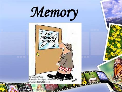 Ppt Memory Powerpoint Presentation Free Download Id6190548