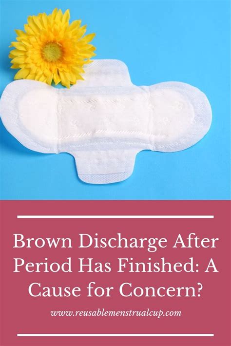 Pin By 𝓢𝓪𝓹𝓹𝓱𝓲𝓻𝓮 𝓕𝓸𝔁 93 On Girl Power 20 In 2021 Brown Discharge Brown Discharge After Period