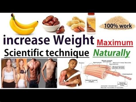 Let us see how to gain weight naturally. increase weight maximum in just 1 month by scientific ...
