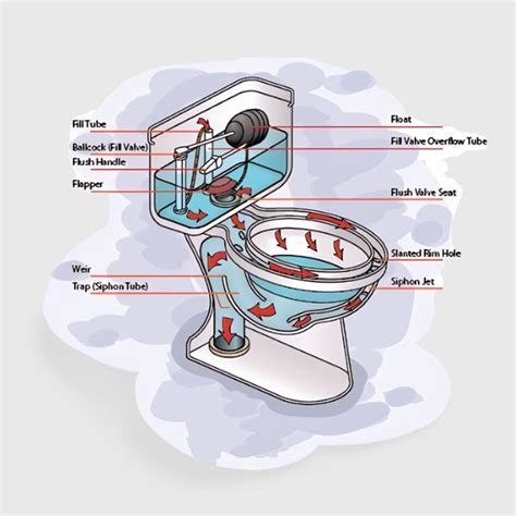 Different Types Of Toilet Flush Systems Toiletsguide