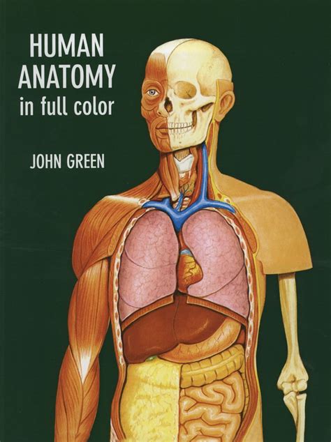 Human Anatomy In Full Color Human Anatomy Science Books Human