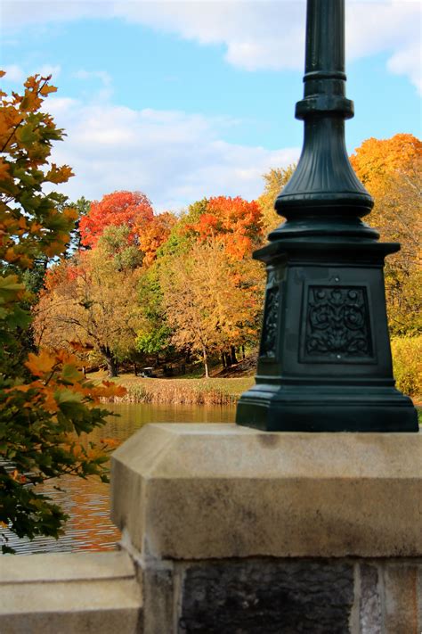 peak leaf peeping season is the perfect time to visit albany county learn about the top spots