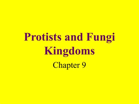 Protists And Fungi Kingdoms