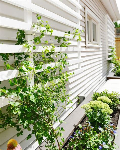 Chicken wire trellises make good use of small spaces, as the peas can grow on either side of the wire. These DIY Trellis Ideas Add Beauty and Function to Any ...
