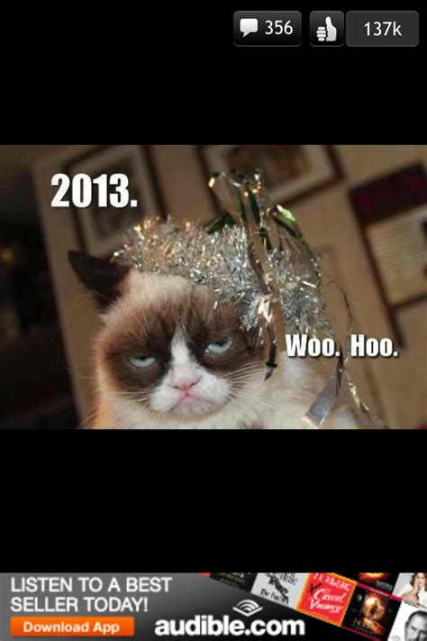 Happy New Year Grumpy Cat Kitty Happy New