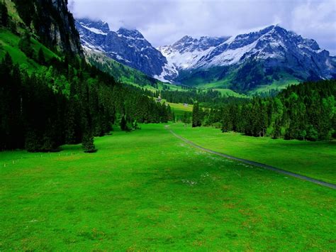 Green Mountains Landscapes Trees Fields Switzerland