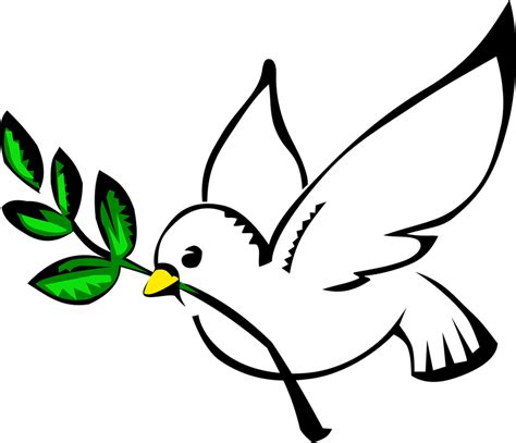 White Dove Olive Branch Pigeon Free Vector Graphic On Pixabay