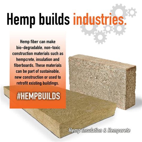 Did You Know Hemp Can Create Sustainable Environmentally Friendly