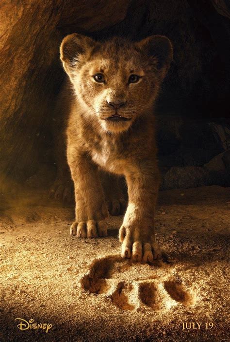 Le Roi Lion 2019 Film