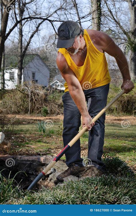 Landscaper Stock Photo Image Of Work Yard Labor Male 18627000