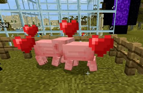 How To Breed Pigs In Minecraft Pig Breeding Tutorial