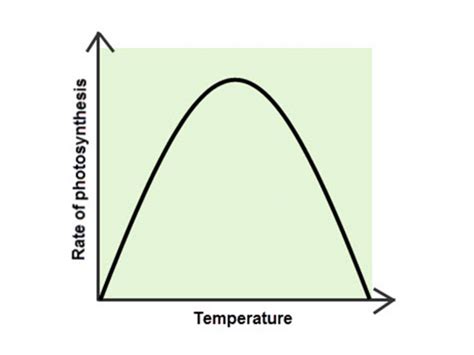 Investigate The Limiting Factors Of Photosynthesis Worksheet Edplace