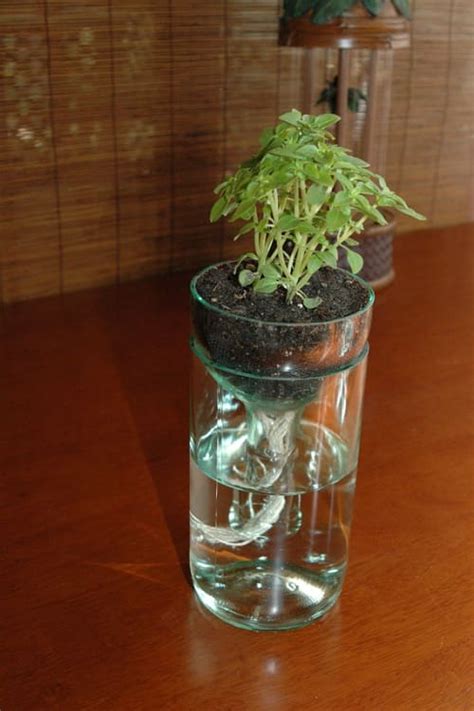 Ultimate Diy Project Self Watering Planter From Used Glass Bottles