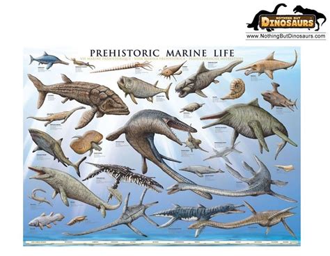 404 Not Found 1 Prehistoric Marine Life Prehistoric Dinosaurs