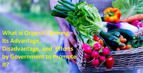 Organic Farming And Its Advantage And Disadvantage