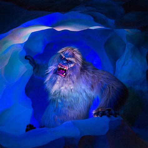 Great Matterhorn Bobsleds Pic Of Harold The Yeti At 27 Mph Rdisneyland