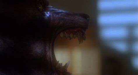 How The Howling Raised The Bar For Werewolf Films Sm Douglas