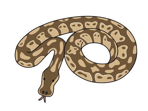 Python Snake Clipart Free Download Transparent Png Creazilla