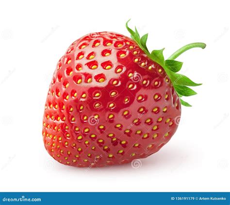 Isolated Strawberry Single Strawberry Fruit Isolated On White