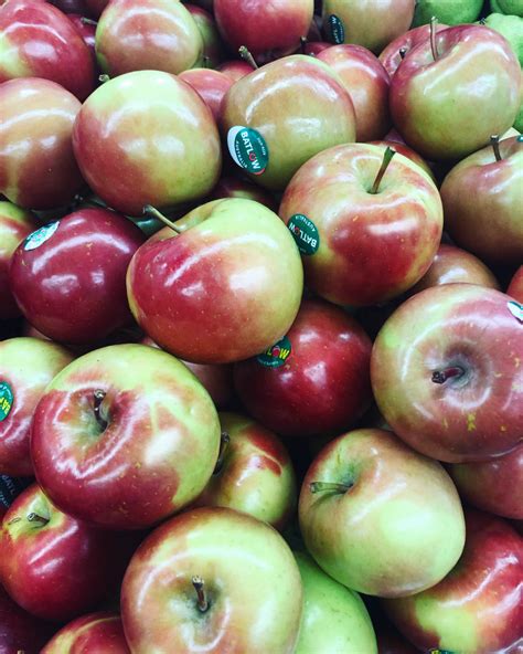 Pick Of The Week Fuji Apples Buy Apples Online Harris Farm