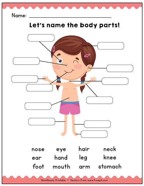 Printable Body Part Worksheet For Kindergarten Thekidsworksheet
