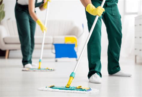 Entenda As Diferenças Entre Limpeza Doméstica E Profissional Suporte Clean