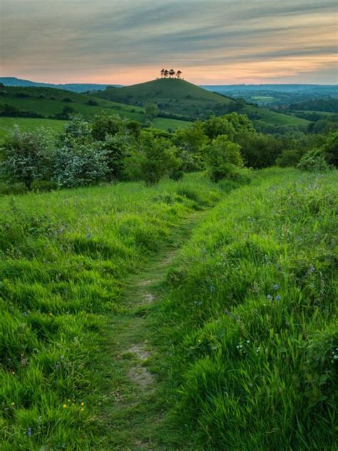 Wanderthewood Dorset England English Countryside Places To Visit