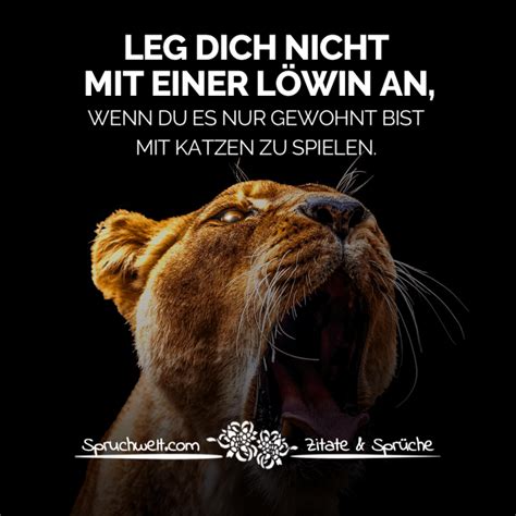 Leg Dich Nicht Mit Einer Löwin An Wenn Du Es Nur Gewohnt Bist Mit