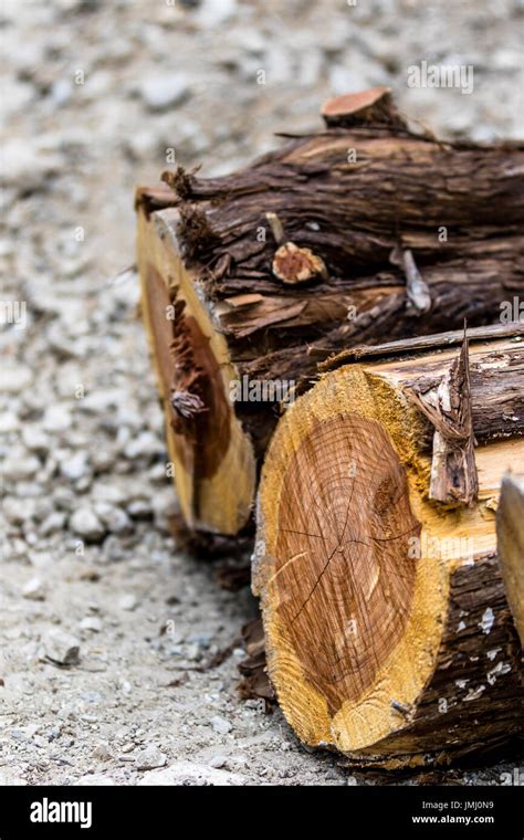 Wood Cedar Hi Res Stock Photography And Images Alamy
