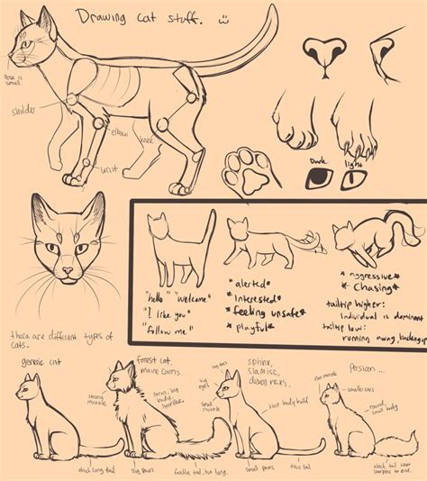 On Deviantart Cat Drawing