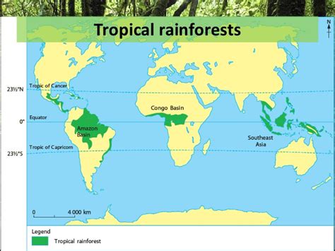 As a result, they experience quite a bit of rainfall annually. 2011 sec 3 elective geography chapter 03 • types of ...