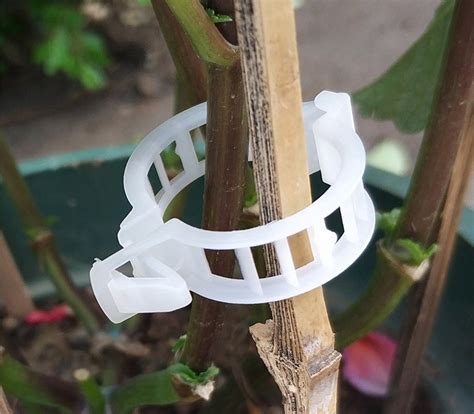 Greenhouse Hydroponic Tomato Grafting Clips Cucumber Clips Plastic