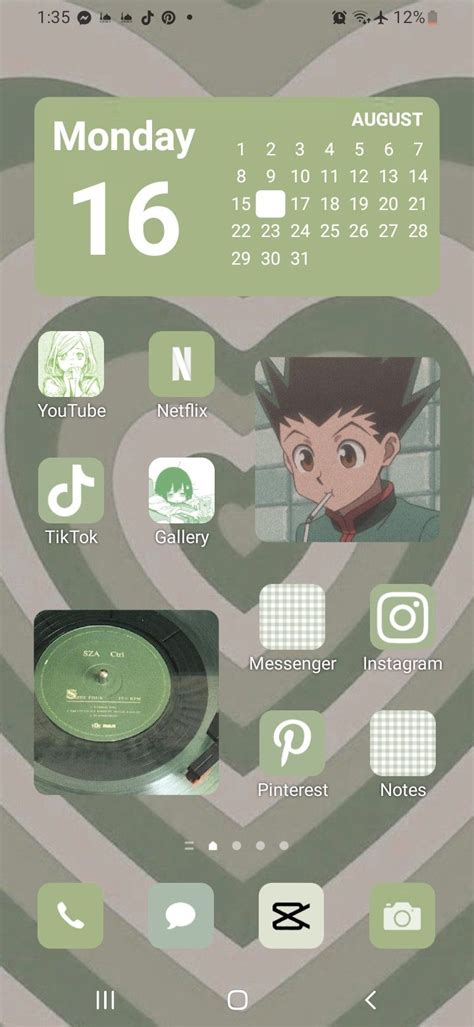 Iphone Wallpaper App Iphone Layout 16 29 Sage Green Widget Anime