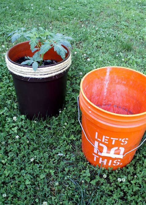 Self Watering Planters Diy 5 Gallon Buckets