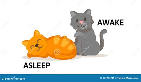 Words Asleep And Awake Flashcard With Cartoon Animal Characters