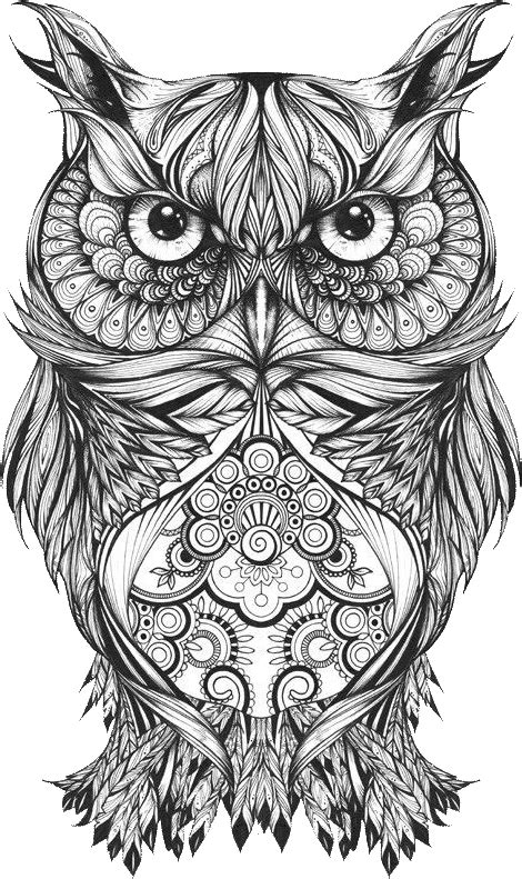Download Hd Body Owl Sketch Art Tattoo Drawing Clipart Owl Drawing