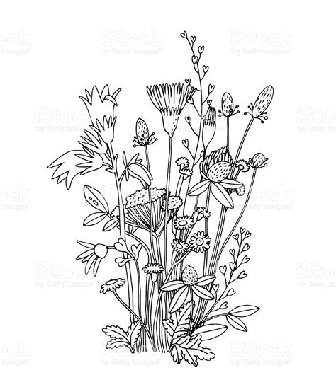 Image Result For Easy Wildflower On Stem Sketch Images Vector Flowers