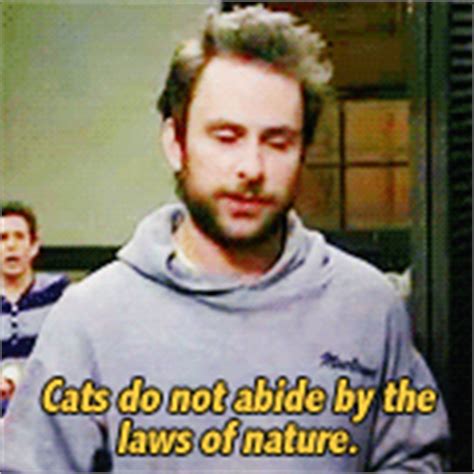 Enjoy reading and share 30 famous quotes about best it's always sunny with everyone. Its Always Sunny Frank Quotes. QuotesGram