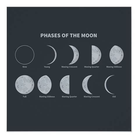 Phases Of The Moon Poster In 2021 Moon Poster Moon
