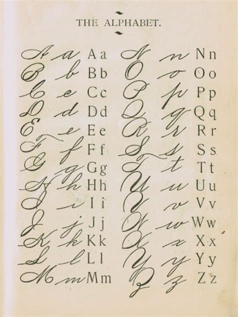 Pin By Tania Rose On Scrapbook Typography Alphabet School Primer