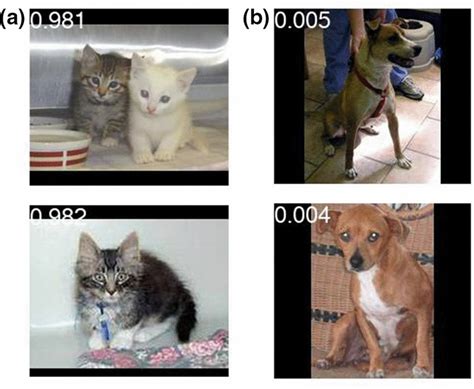 Examples Of Images From The Kaggle Dataset Of A Cats And B Dogs